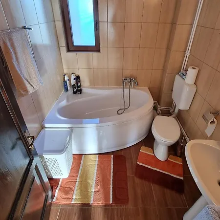 Casa Dragomir Holiday home *