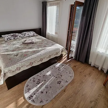 Holiday home Casa Dragomir
