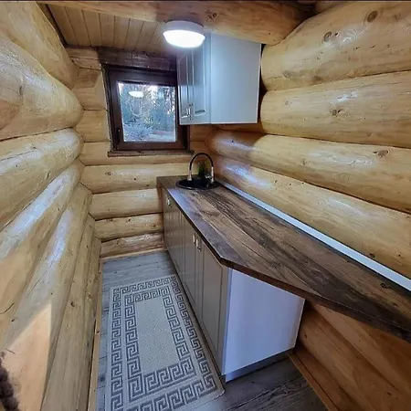 Casa Dragomir * Plaiu Sarului