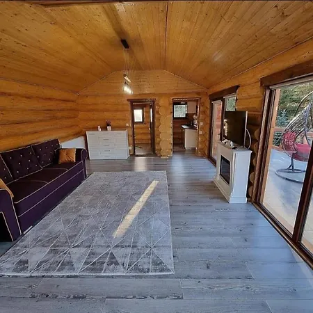 Casa Dragomir Holiday home
